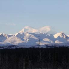 IMG_0987